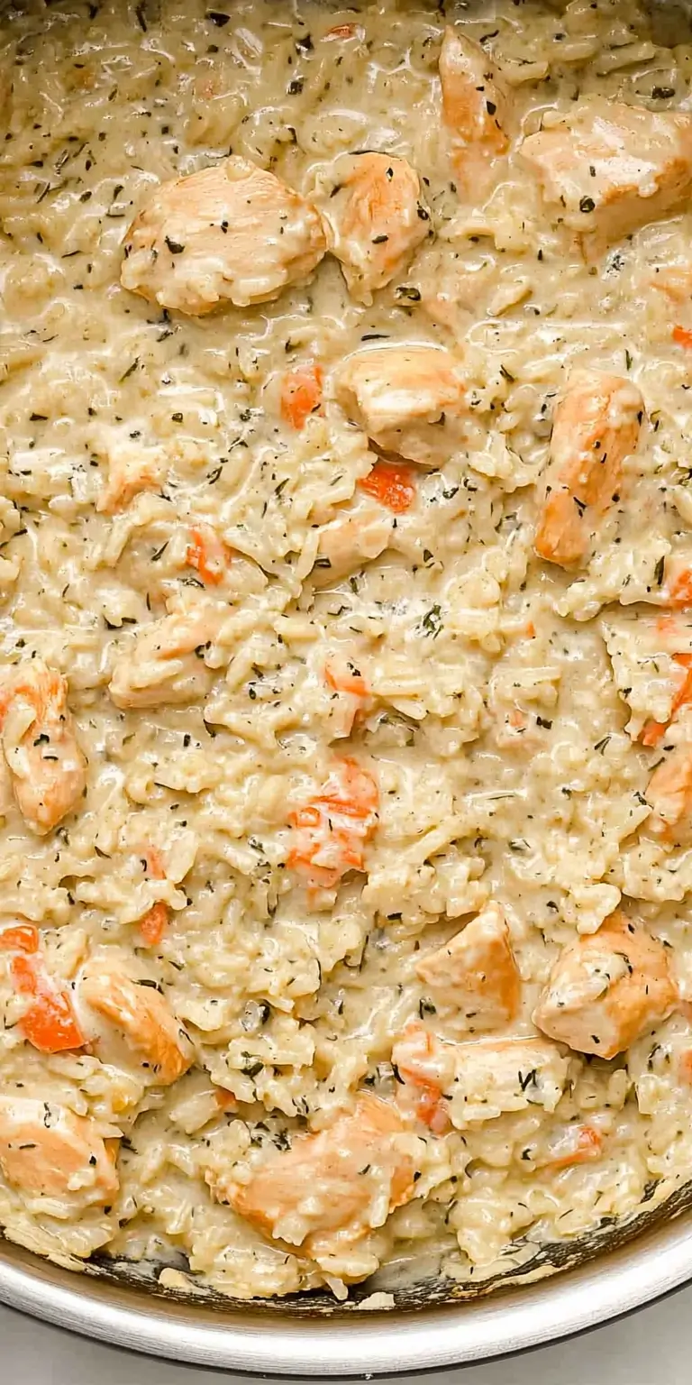 close-up-of-creamy-chicken-and-rice