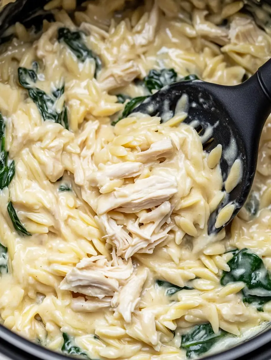 Boursin Orzo with Chicken 10 boursin-orzo-with-chicken-1-1