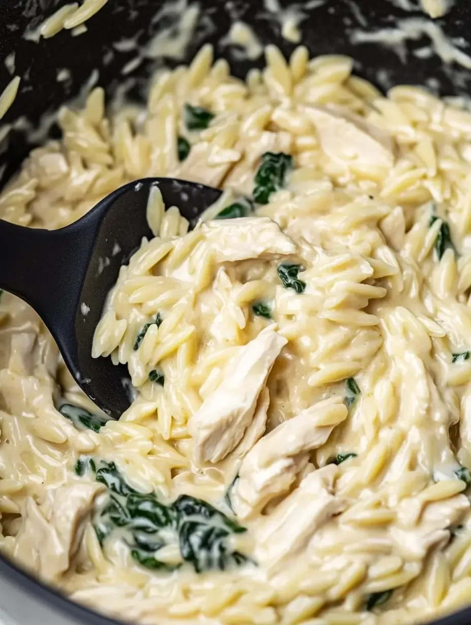 Boursin Orzo with Chicken 14 boursin-orzo-with-chicken-2