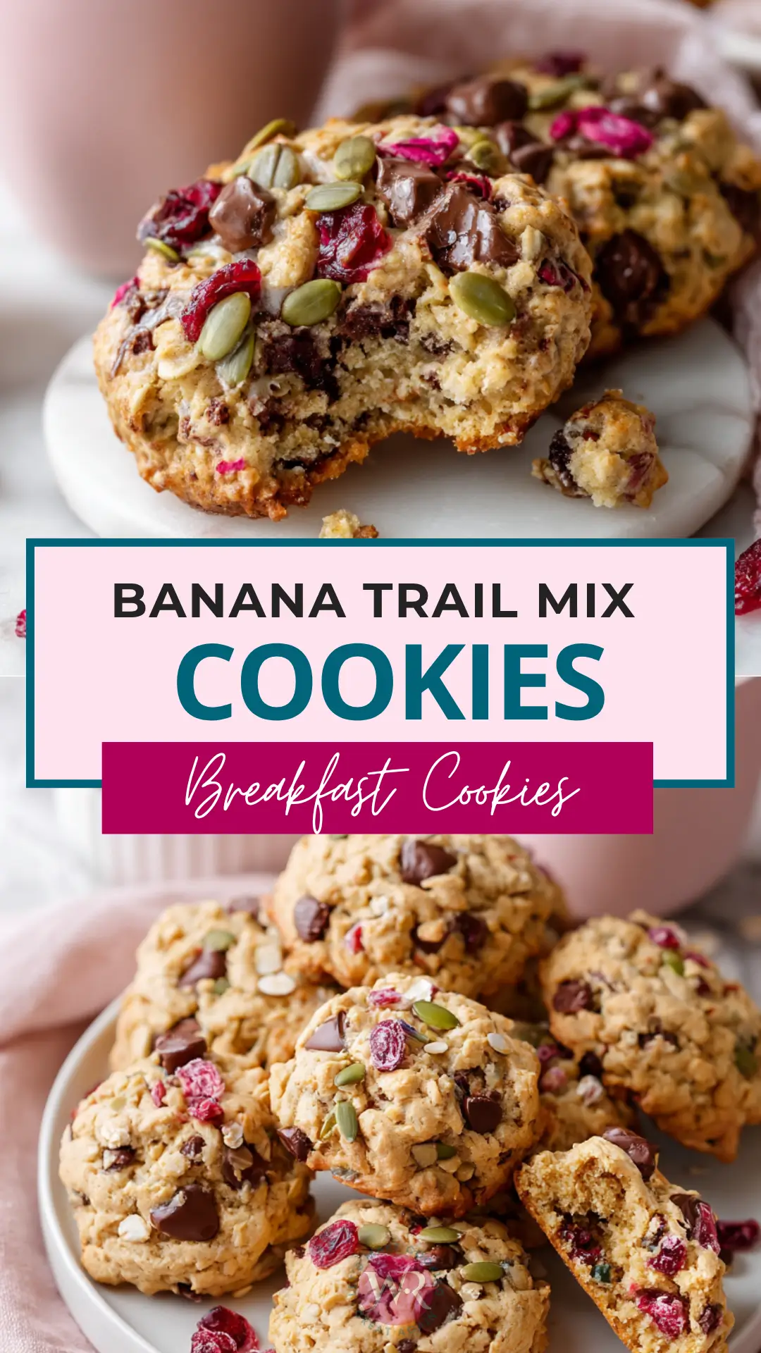 Banana Trail Mix Breakfast Cookies 19 Banana-Trail-Mix-Breakfast-Cookies-Pin