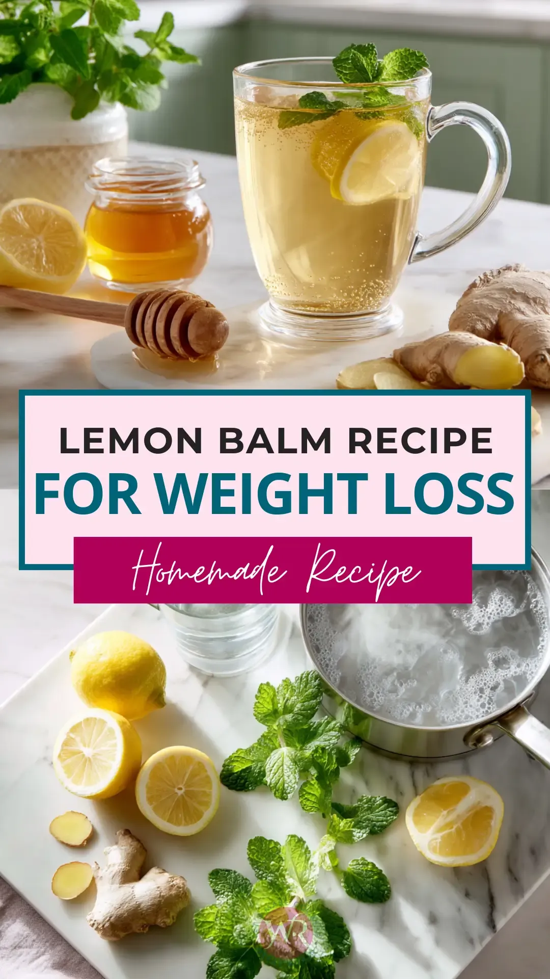 Lemon Balm Recipe for Weight Loss 15 Lemon-Balm-Recipe-for-Weight-Loss-Pin