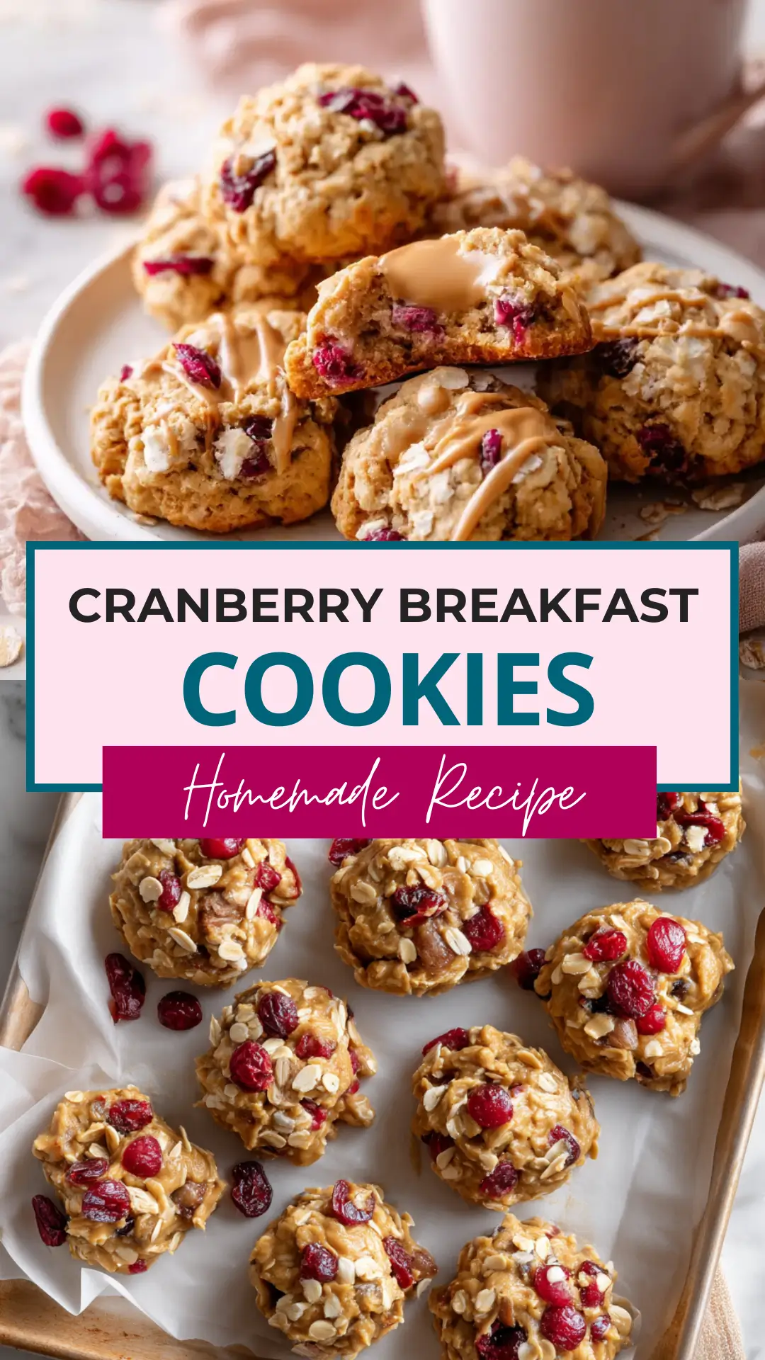Banana Cranberry Breakfast Cookies 11 banana-cranberry-breakfast-cookies-pin