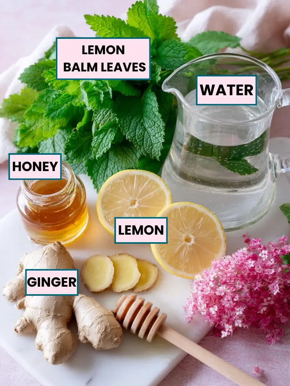 Lemon Balm Recipe for Weight Loss 11 lemon-balm-recipe-for-weight-loss-ingredients