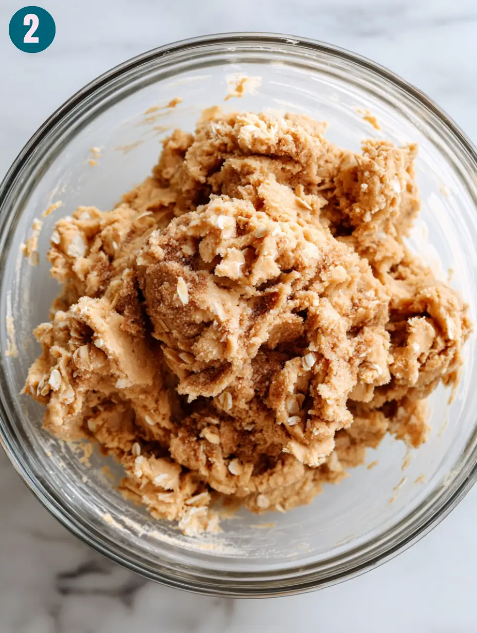 Cinnamon Dolce Oatmeal Cookies Recipe 11 cinnamon-dolce-oatmeal-cookies-step-2