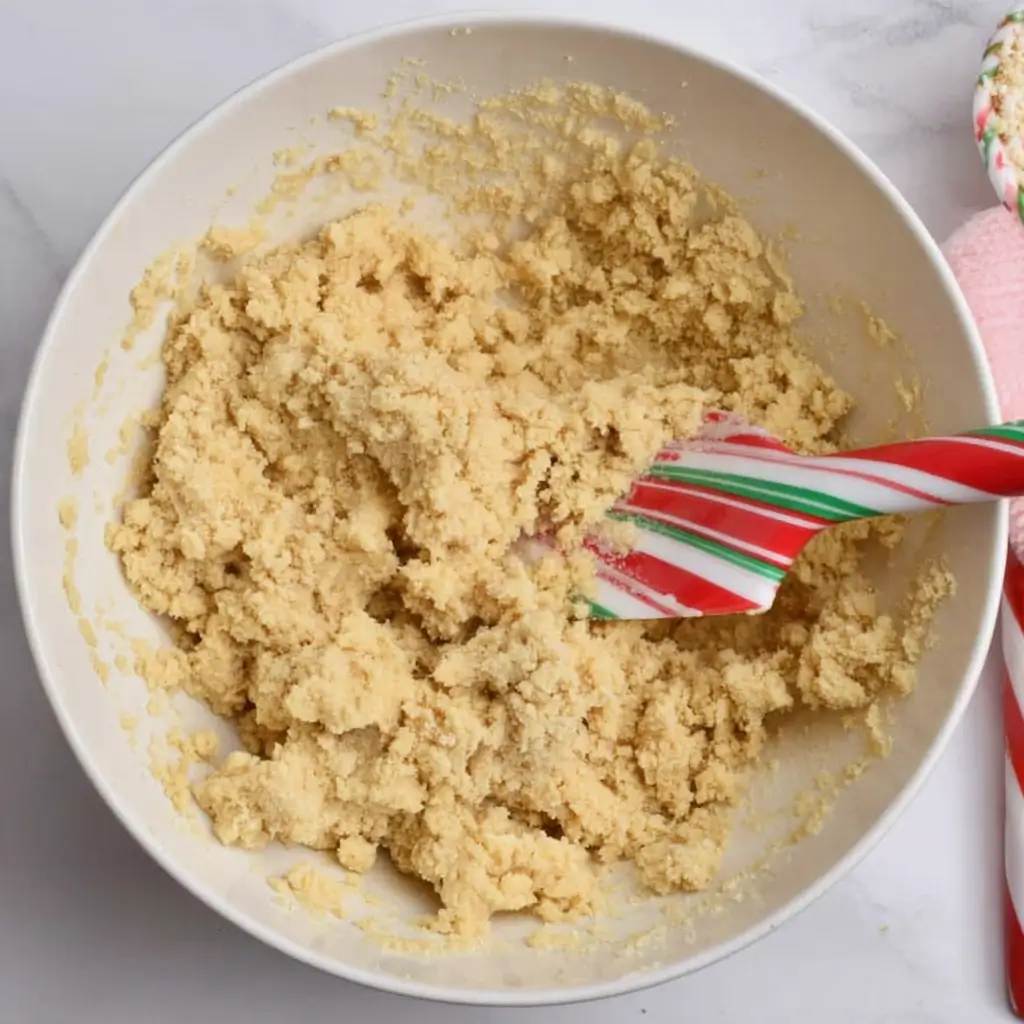 healthy-christmas-cookies-dough-ready